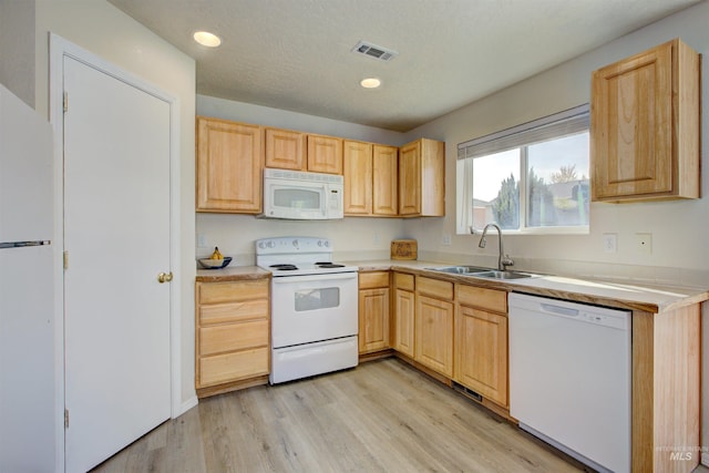 kitchen with a sink, light brown cabinets, light countertops, light wood-type flooring, and white appliances