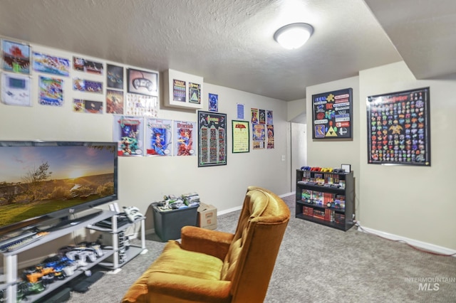 living area featuring a textured ceiling, carpet, and baseboards