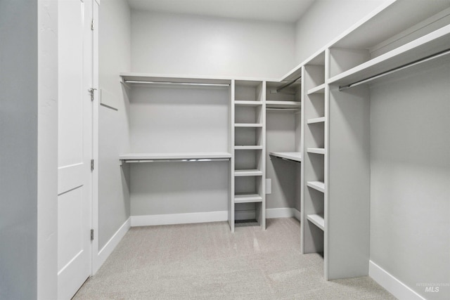 walk in closet with light colored carpet