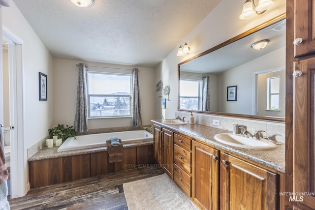 bathroom featuring wood finished floors, plenty of natural light, and a sink