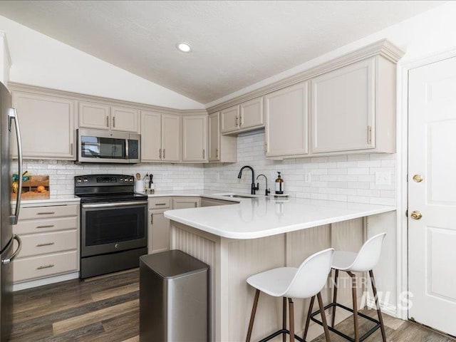 5287 Stuart Ave, Chubbuck, ID 83202 - kitchen featuring appliances with stainless steel finishes, a peninsula, vaulted ceiling, a sink, and dark wood-type flooring