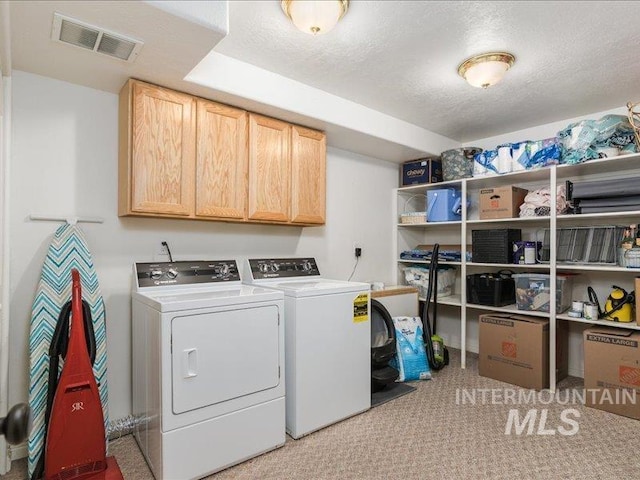 5287 Stuart Ave, Chubbuck, ID 83202 - washroom with cabinet space, washer and dryer, carpet flooring, and a textured ceiling