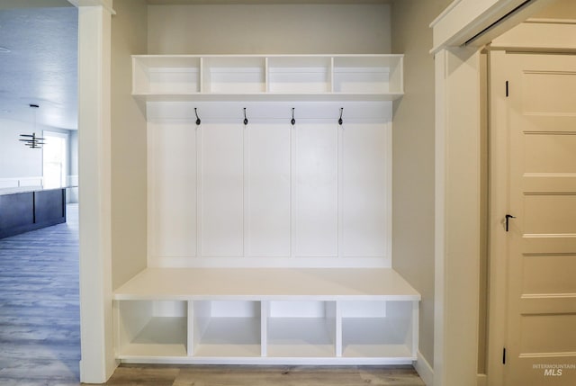 mudroom featuring hardwood / wood-style floors