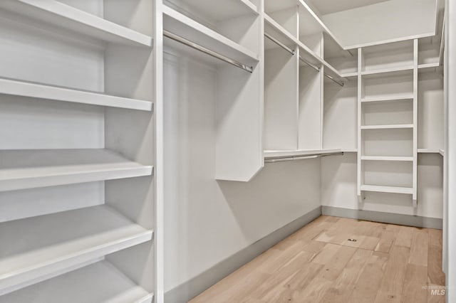 1771 S Riparian Way, Eagle, ID 83616 - spacious closet featuring light wood-type flooring