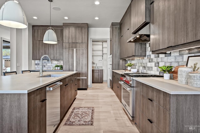 1771 S Riparian Way, Eagle, ID 83616 - kitchen with appliances with stainless steel finishes, a sink, modern cabinets, light wood-style floors, and decorative backsplash