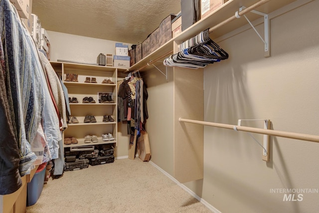 1587 N Firebrick Dr, Kuna, ID 83634 - spacious closet with carpet