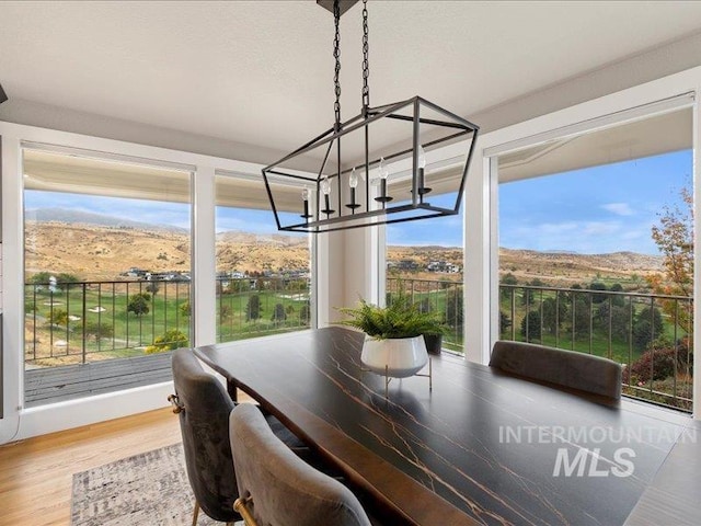 dining space featuring a chandelier, wood finished floors, and a wealth of natural light