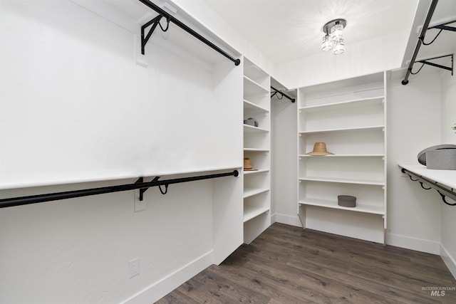1910 W Campo Ln, Eagle, ID 83616 - spacious closet featuring dark wood-type flooring
