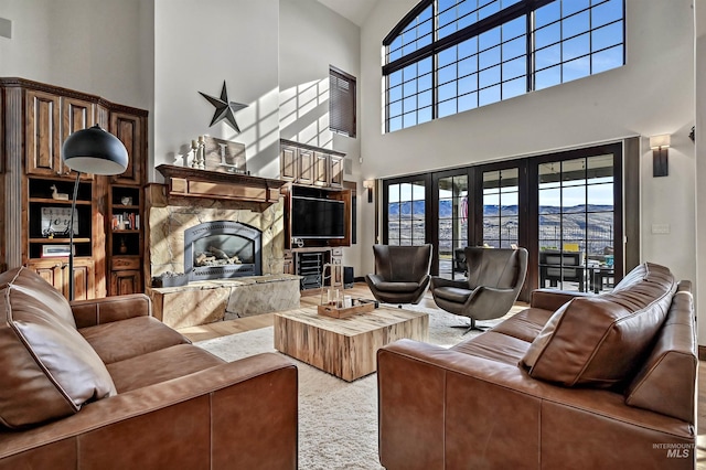 living area featuring a fireplace and wood finished floors