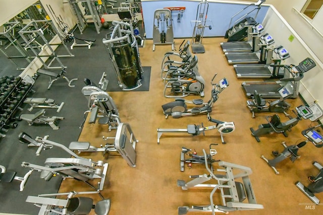 1607 Davis Ave Unit C2, Mccall, ID 83638 - view of gym