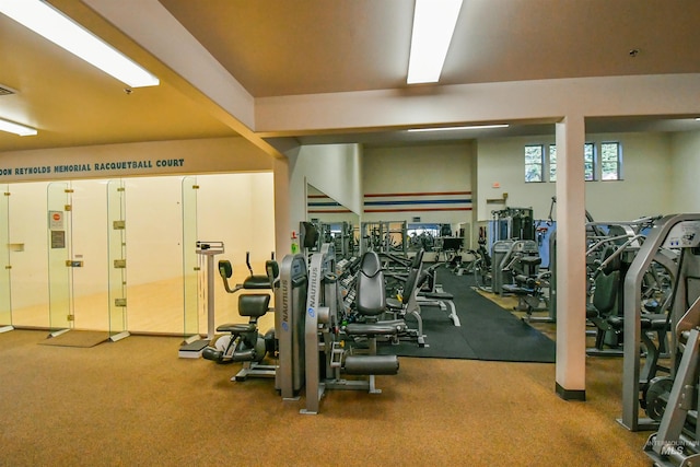 1607 Davis Ave Unit C2, Mccall, ID 83638 - exercise room featuring carpet flooring