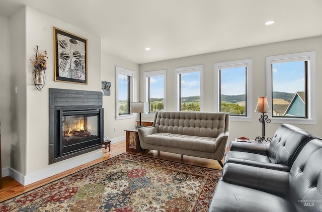 2809 Hampton Ct, Moscow, ID 83843 - living area featuring a glass covered fireplace, baseboards, wood finished floors, and recessed lighting