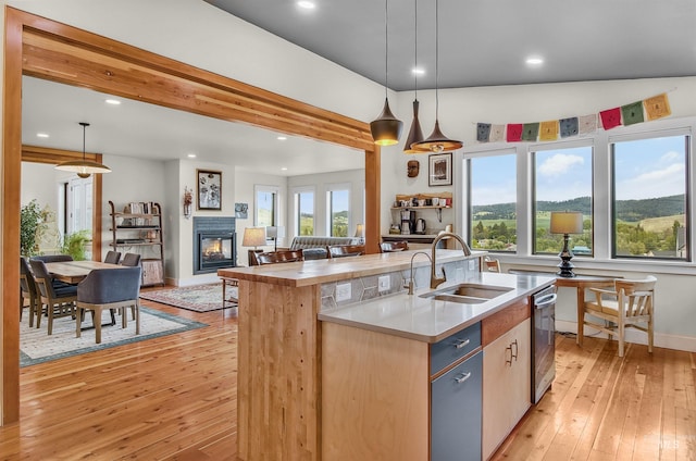 2809 Hampton Ct, Moscow, ID 83843 - kitchen with a sink, stainless steel dishwasher, recessed lighting, light wood-style floors, and a glass covered fireplace