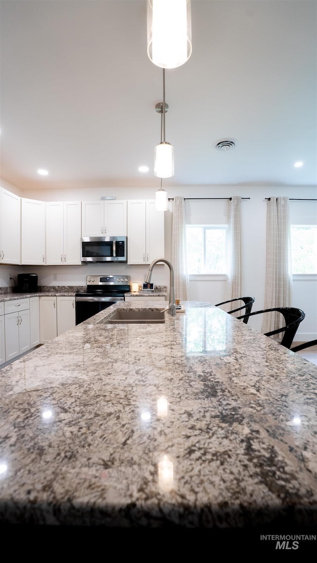 1147 Driscoll Ridge Rd, Troy, ID 83871 - kitchen with appliances with stainless steel finishes, a sink, healthy amount of natural light, light stone countertops, and recessed lighting