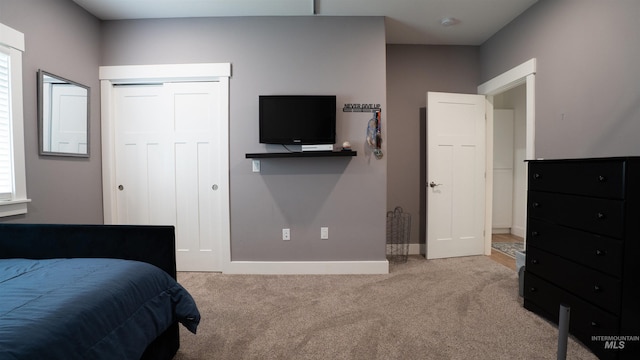 1147 Driscoll Ridge Rd, Troy, ID 83871 - carpeted bedroom featuring baseboards and a closet