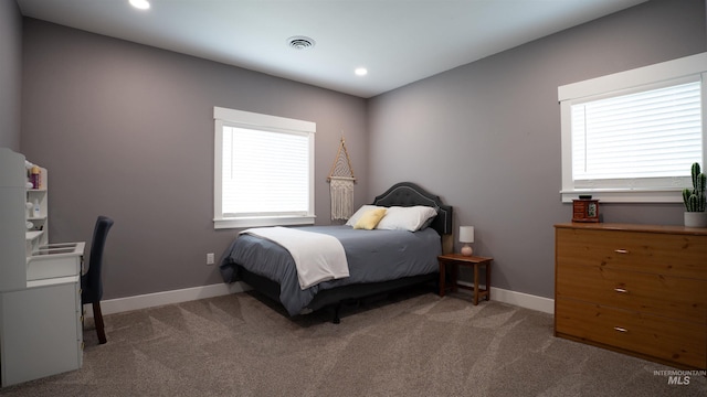 1147 Driscoll Ridge Rd, Troy, ID 83871 - carpeted bedroom with baseboards, multiple windows, and recessed lighting