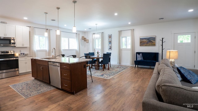 1147 Driscoll Ridge Rd, Troy, ID 83871 - kitchen featuring stainless steel appliances, open floor plan, a sink, wood finished floors, and a breakfast bar