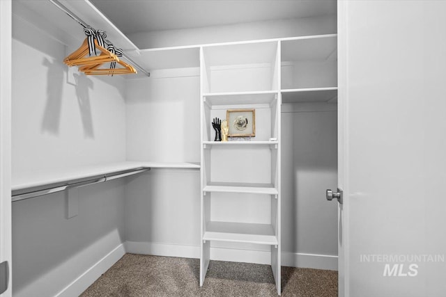 spacious closet with carpet flooring