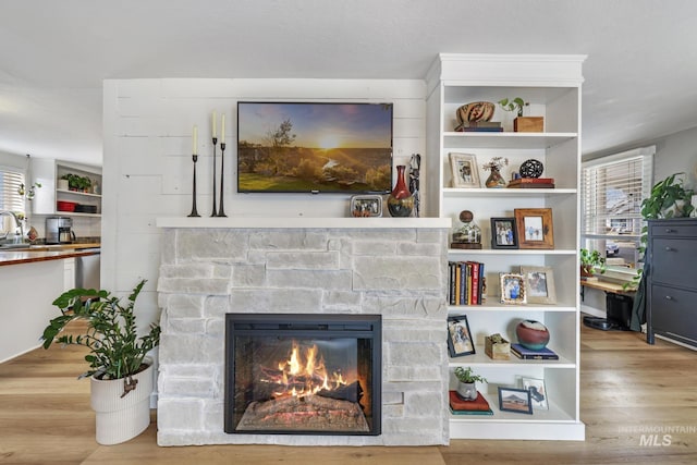 details featuring a fireplace, a sink, and wood finished floors