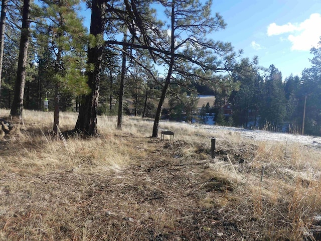 309 Wildrose Ln, Anatone, WA 99401 - view of yard