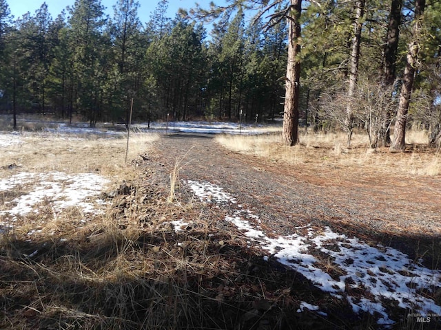 309 Wildrose Ln, Anatone, WA 99401 - view of road