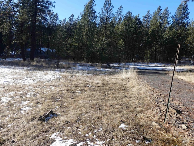 309 Wildrose Ln, Anatone, WA 99401 - view of yard