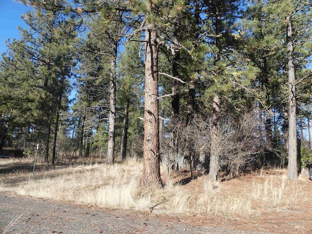 309 Wildrose Ln, Anatone, WA 99401 - view of landscape