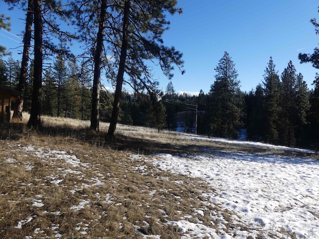 309 Wildrose Ln, Anatone, WA 99401 - view of yard