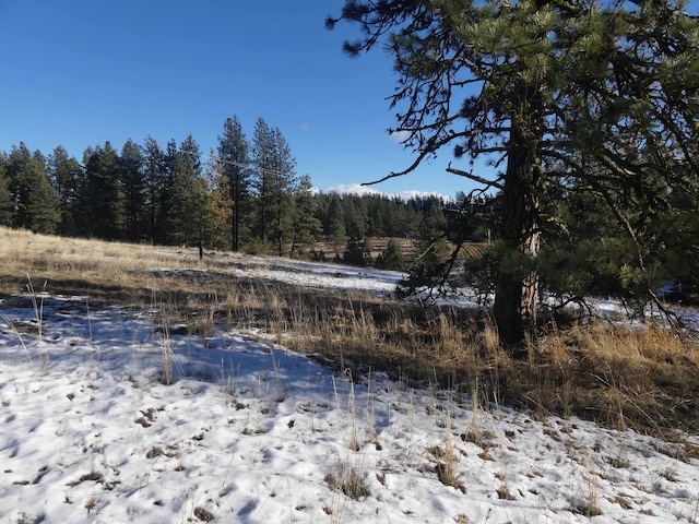 309 Wildrose Ln, Anatone, WA 99401 - water view