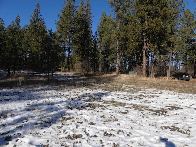 309 Wildrose Ln, Anatone, WA 99401 - view of snowy view