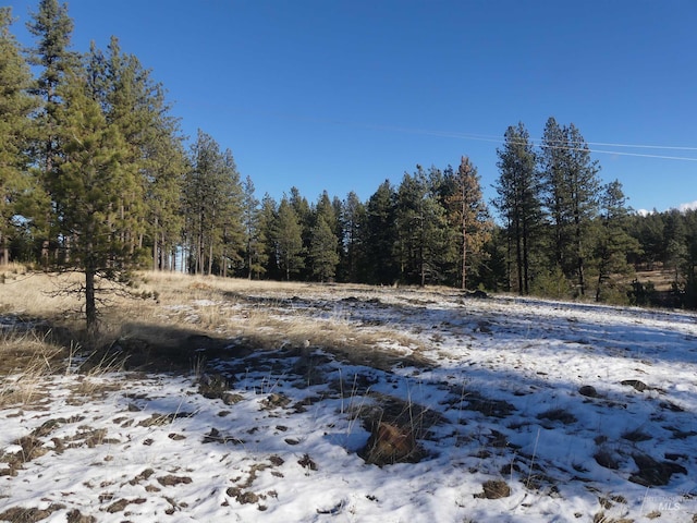 309 Wildrose Ln, Anatone, WA 99401 - view of snow covered land