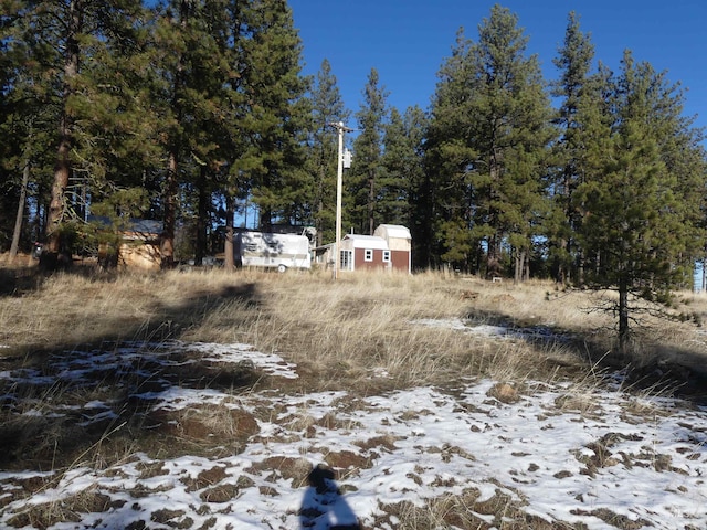309 Wildrose Ln, Anatone, WA 99401 - view of snowy yard