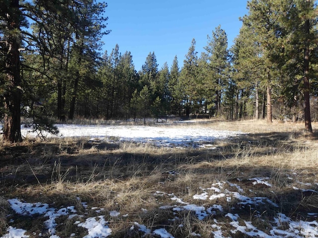 309 Wildrose Ln, Anatone, WA 99401 - view of nature
