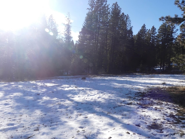 309 Wildrose Ln, Anatone, WA 99401 - view of road