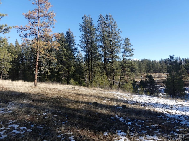 309 Wildrose Ln, Anatone, WA 99401 - view of local wilderness