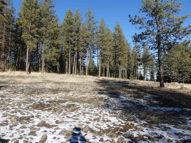 309 Wildrose Ln, Anatone, WA 99401 - view of snowy landscape