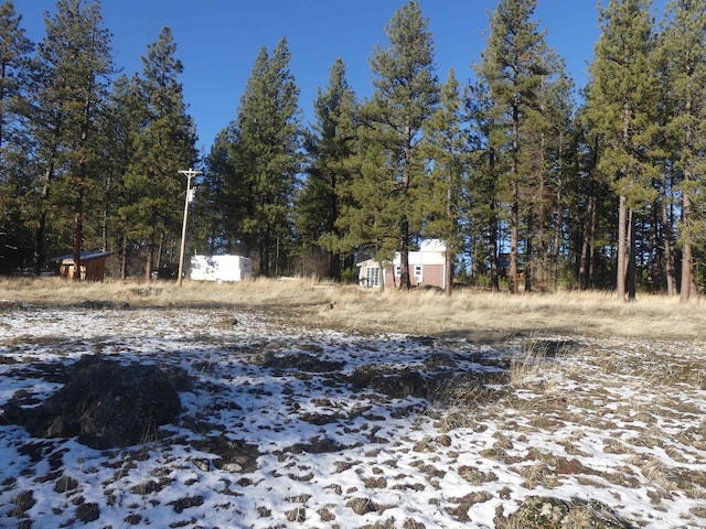309 Wildrose Ln, Anatone, WA 99401 - view of snowy yard