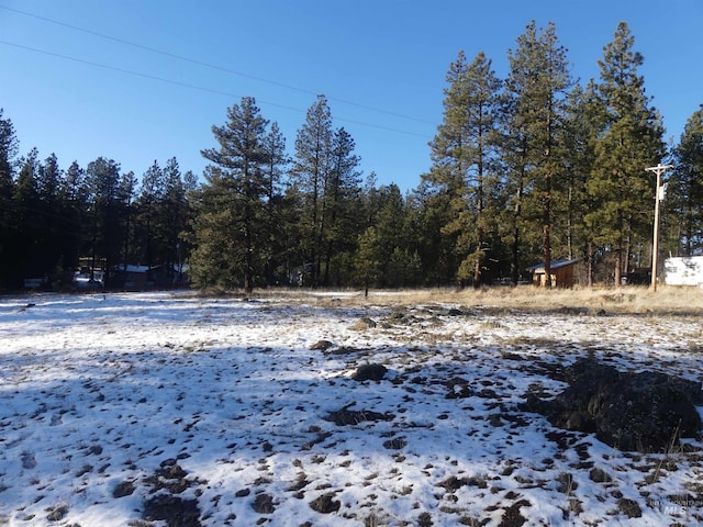 309 Wildrose Ln, Anatone, WA 99401 - view of snowy yard