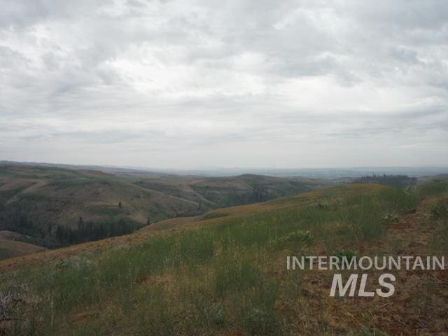 LOT4 Middle Fork Rd, Council ID, 83612 land for sale