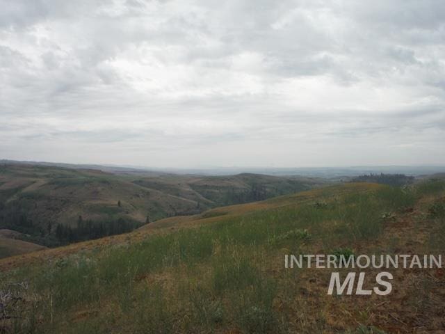 LOT4 Middle Fork Rd, Council, ID 83612