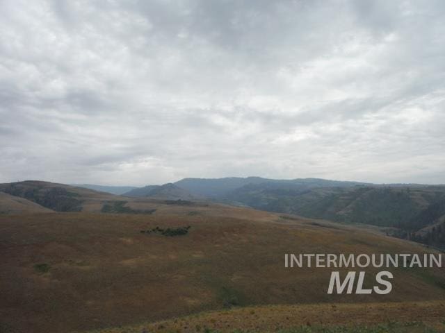 LOT4 Middle Fork Rd, Council, ID 83612
