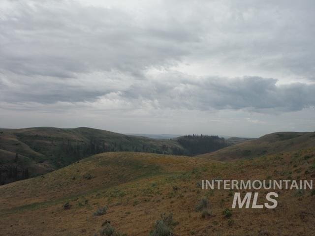 LOT4 Middle Fork Rd, Council, ID 83612