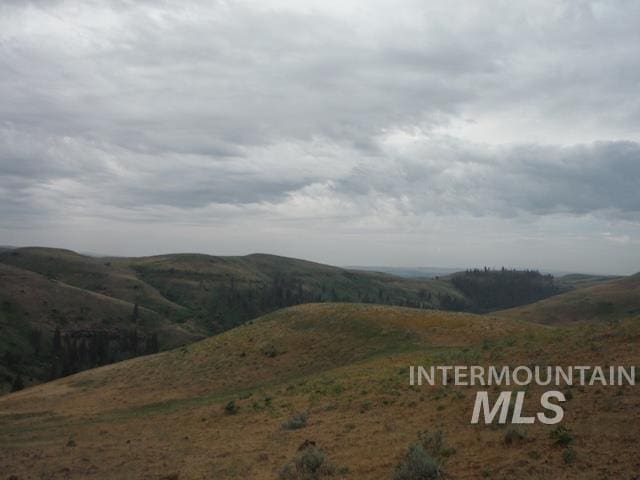 LOT4 Middle Fork Rd, Council, ID 83612