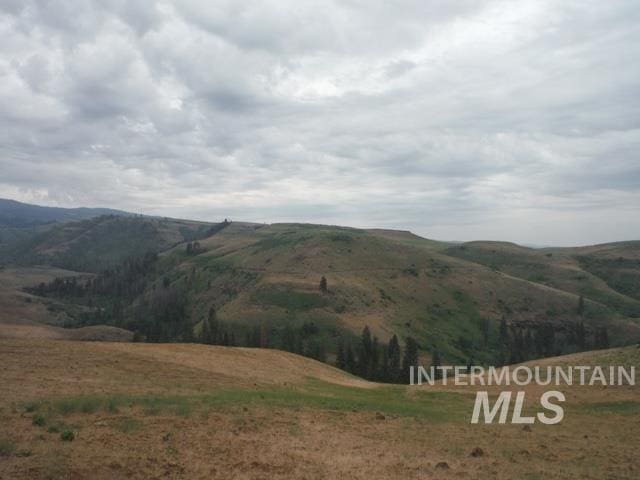 LOT4 Middle Fork Rd, Council, ID 83612