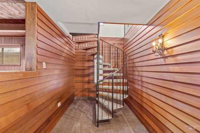 staircase featuring carpet floors and wood walls