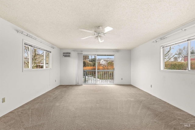 empty room with a textured ceiling, carpet, and a healthy amount of sunlight