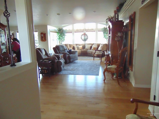 living room featuring light hardwood / wood-style floors