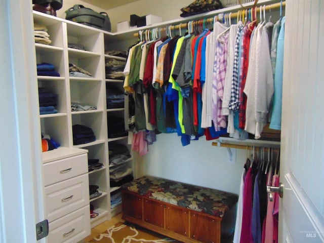 view of walk in closet