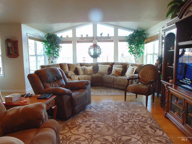 living room featuring light hardwood / wood-style flooring and lofted ceiling