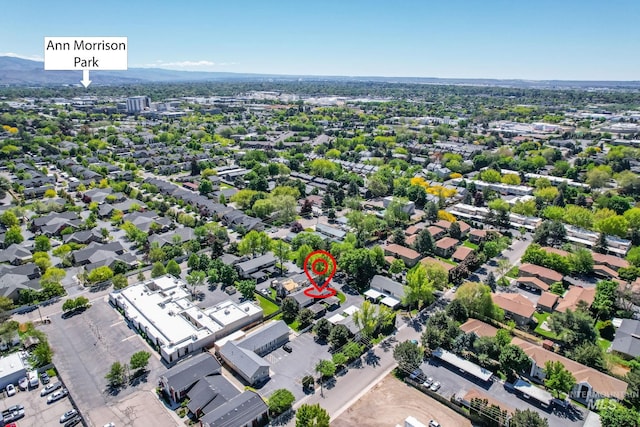 drone / aerial view